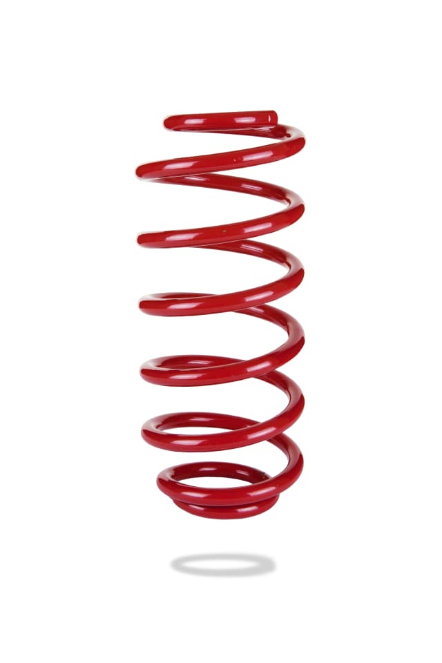 2591 Rear Spring Low