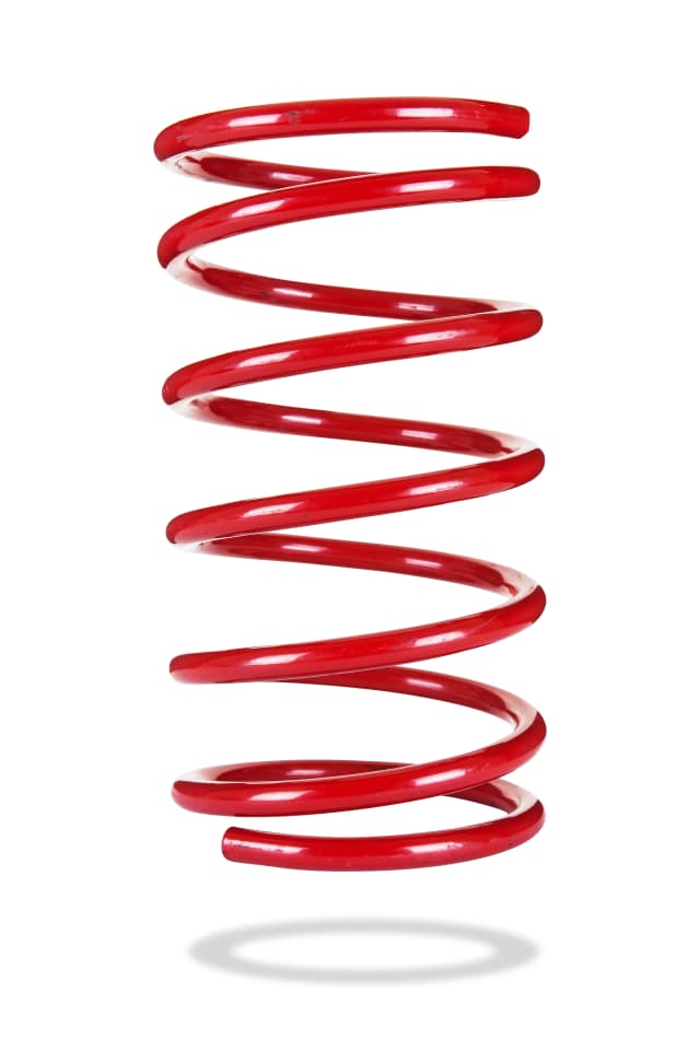 2629 Rear Spring Low