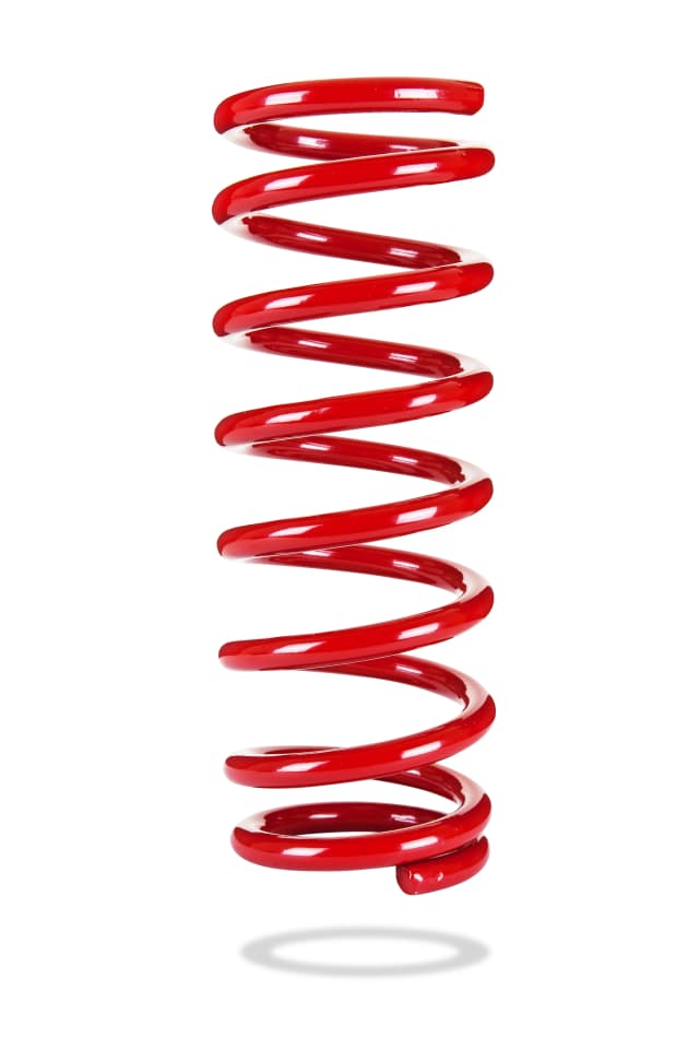 2655 Rear Spring Standard