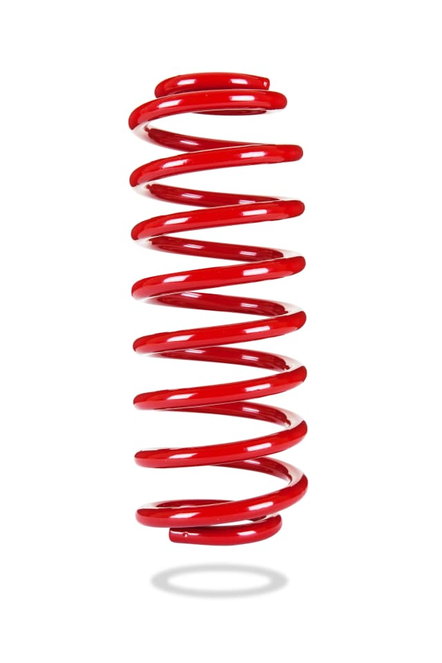 2695 Rear Spring Standard