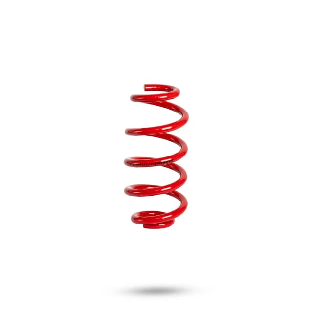 270106 Rear Spring Standard