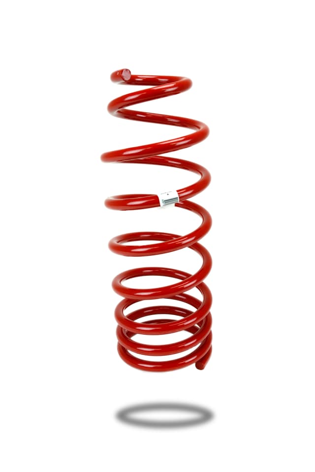 270130 Rear Spring Standard