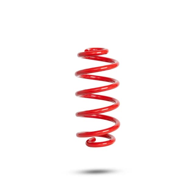 270146 Rear Spring Standard