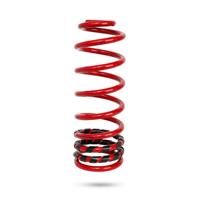 270220 Rear Spring Standard