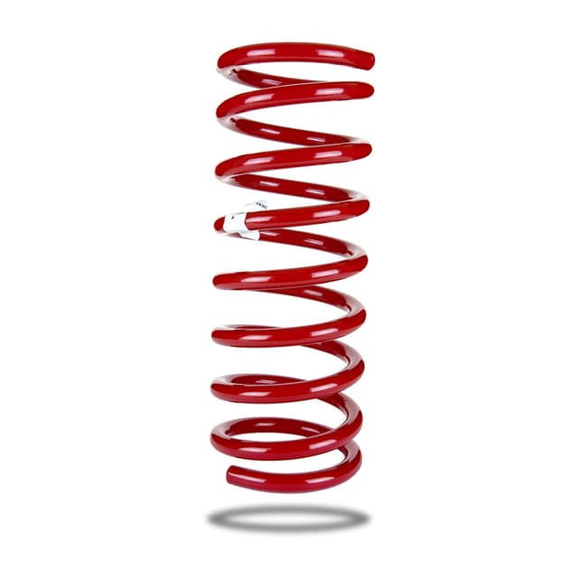 280065 Rear Spring Raised