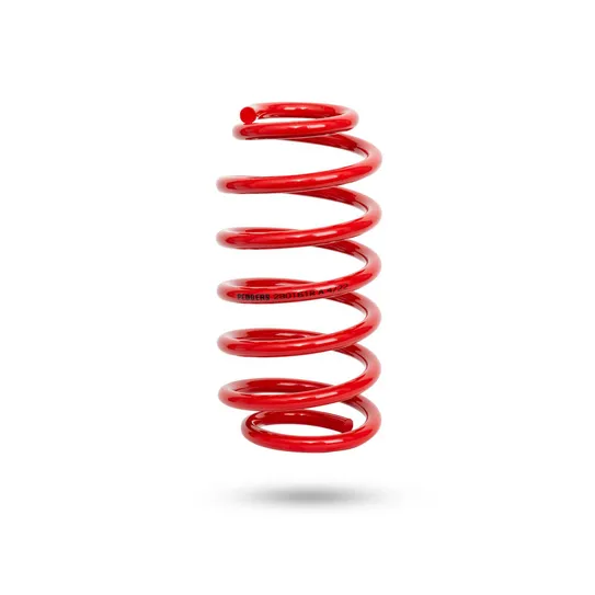 280161R Rear Spring Raised