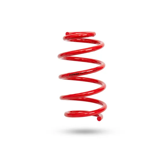 280256 Front Spring Raised