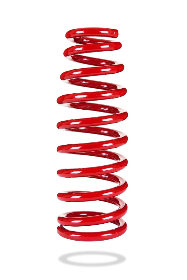 2900L Rear Spring Low