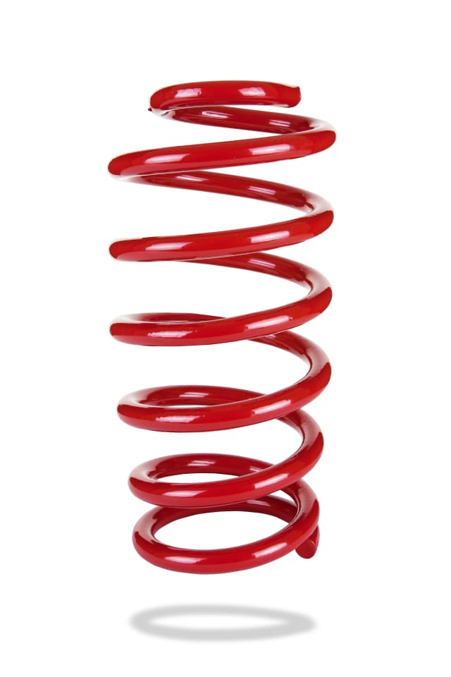 2901 Rear Spring Low