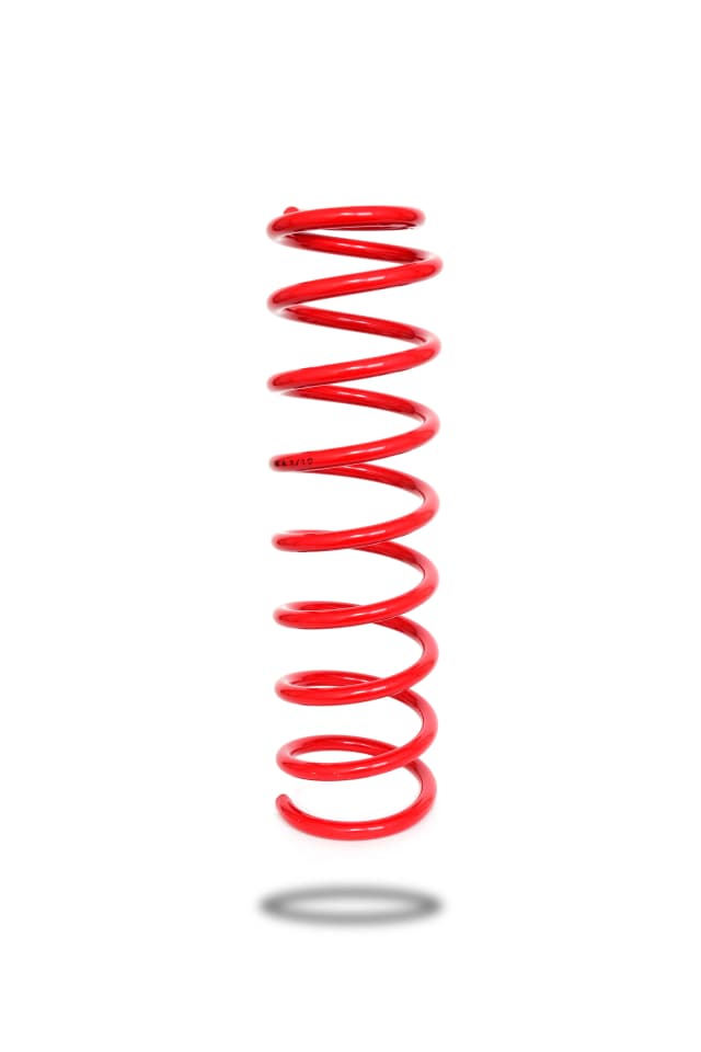 290108 Front Spring Raised