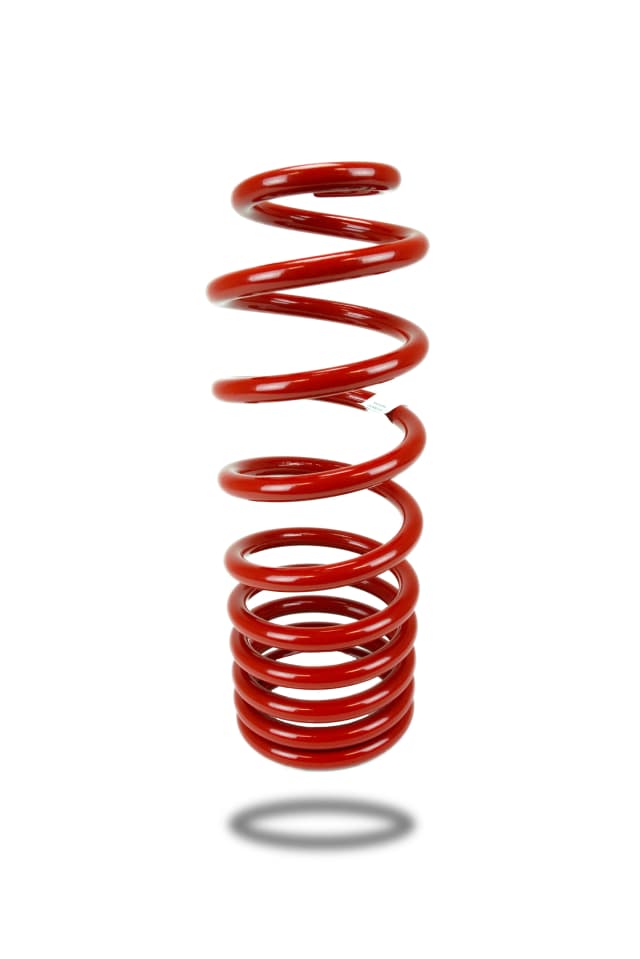 290165 Rear Spring Raised