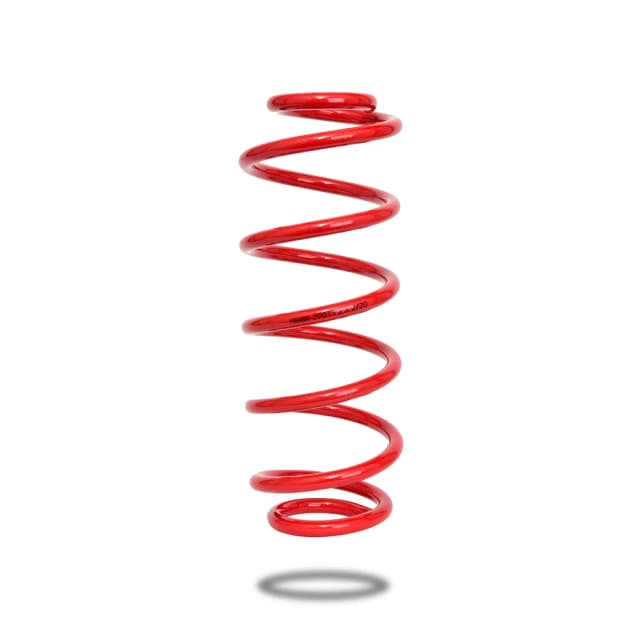 290193 Rear Spring Raised