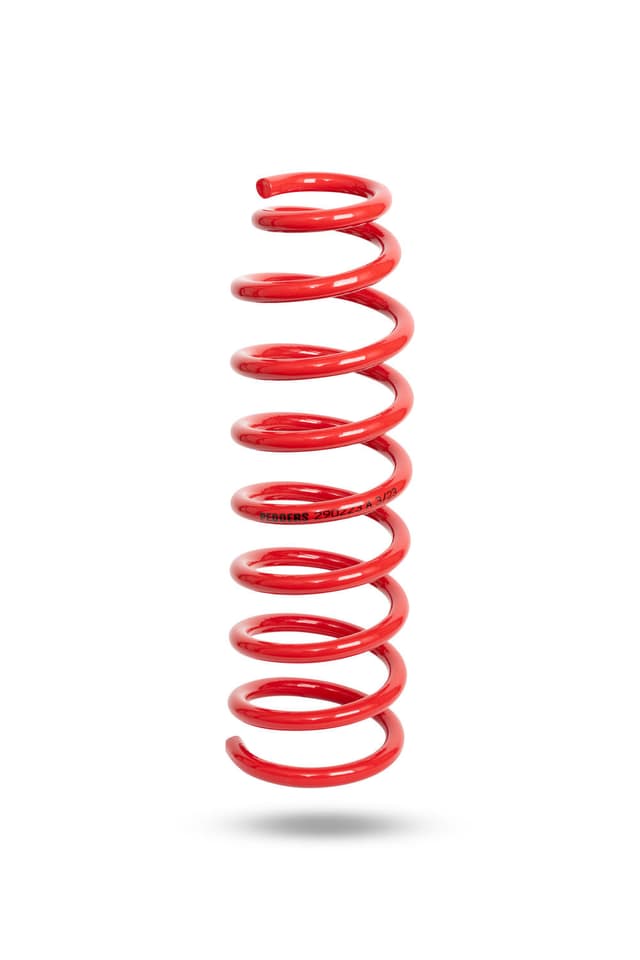 290223 Front Spring Raised