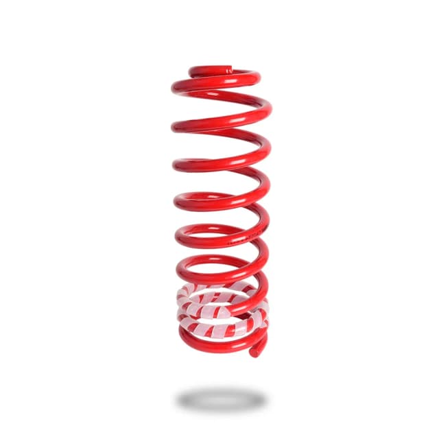 290224 Rear Spring Raised