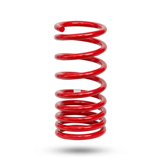 290226 Rear Spring Raised