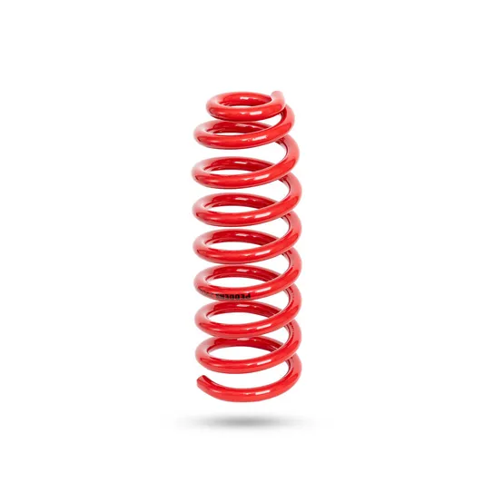 290242 Rear Spring Raised