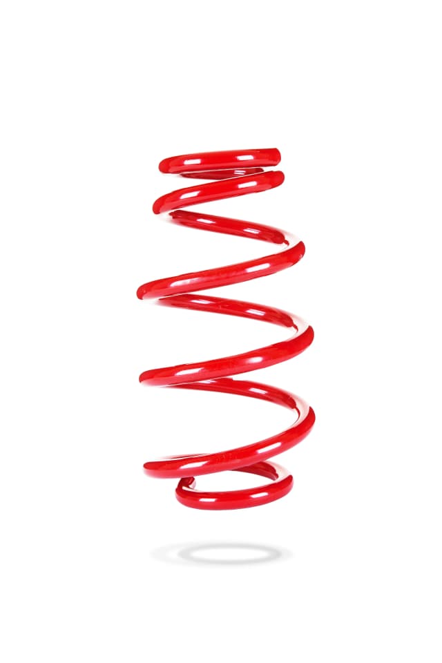 2907 Rear Spring Low
