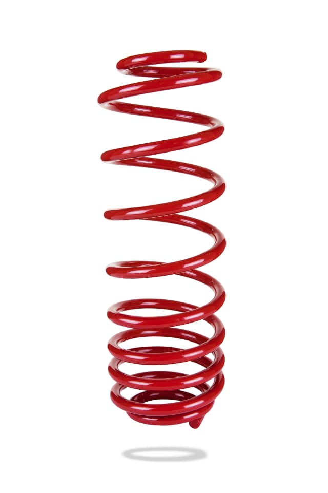2909 Rear Spring Low