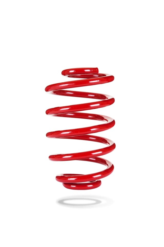 2913 Rear Spring Low