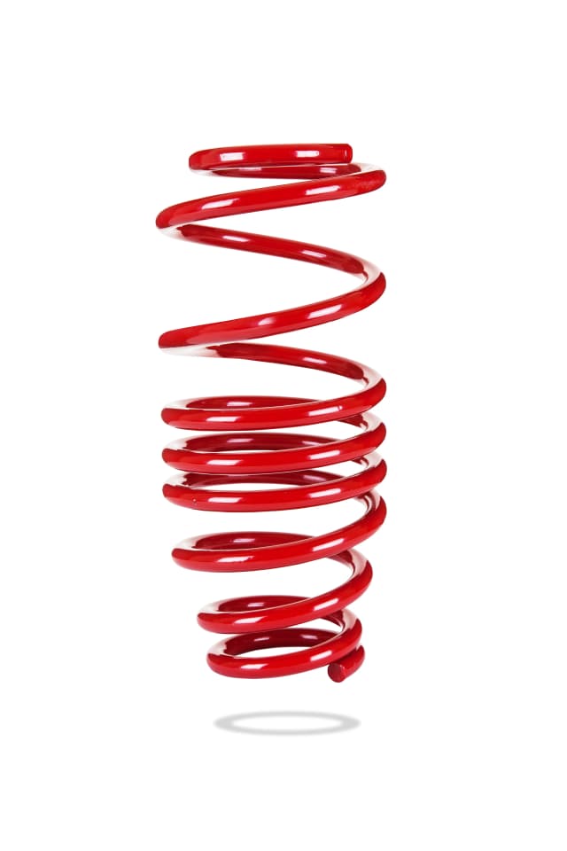 2921 Rear Spring Low