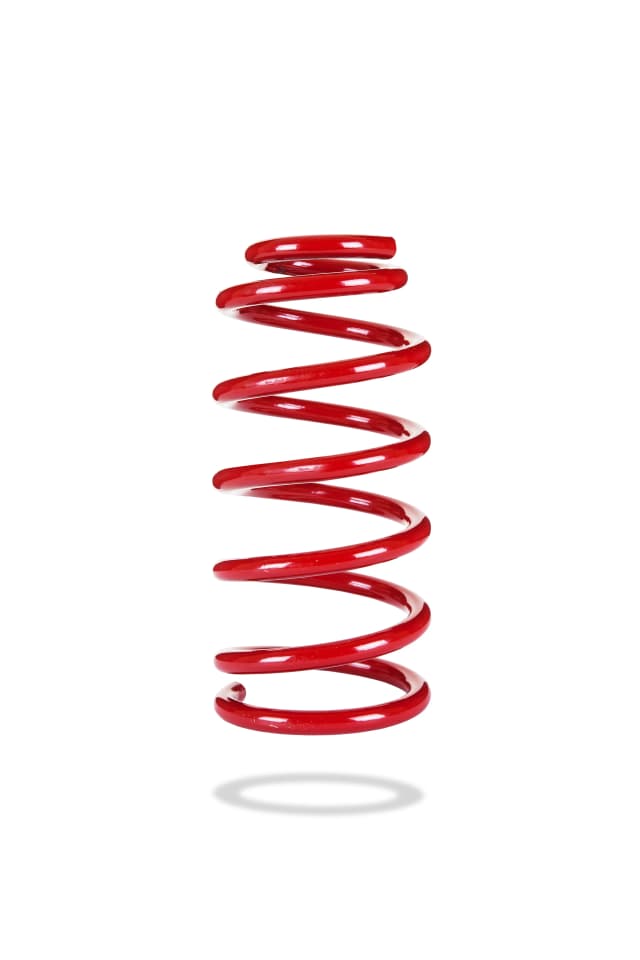 2923 Rear Spring Low