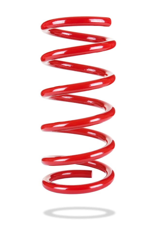 2925 Rear Spring Low