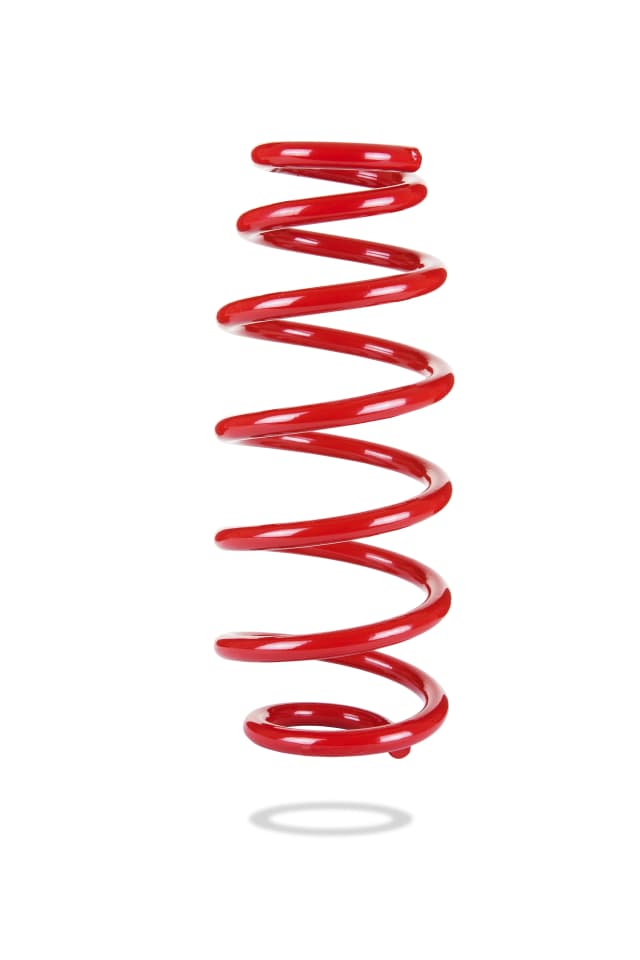 2929 Rear Spring Low