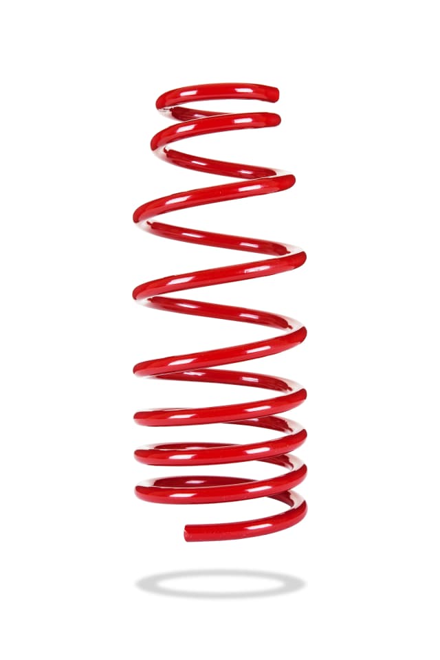 2931 Rear Spring Low