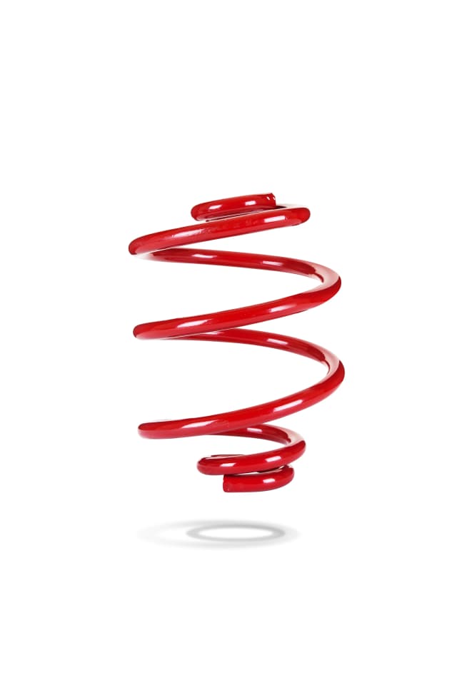 2935 Rear Spring Low
