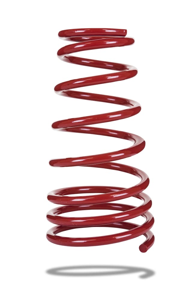 2939 Rear Spring Low