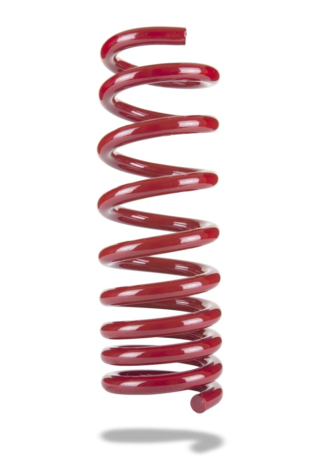 2941 Rear Spring Low