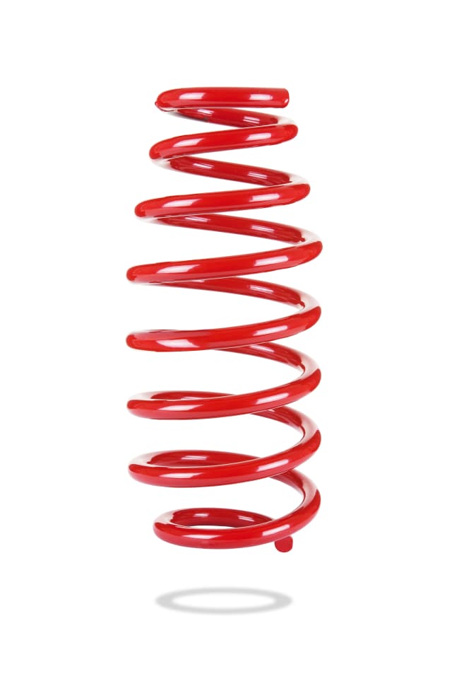 2943 Rear Spring Low
