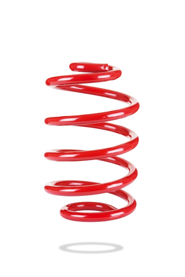 2949 Rear Spring Low