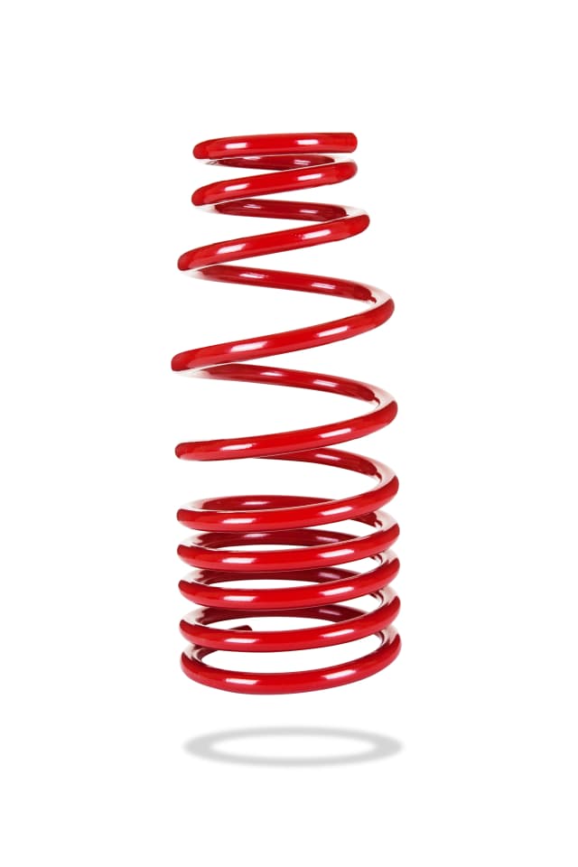 2953 Rear Spring Low