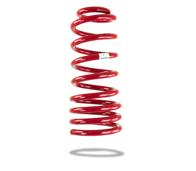 2955 Rear Spring Low