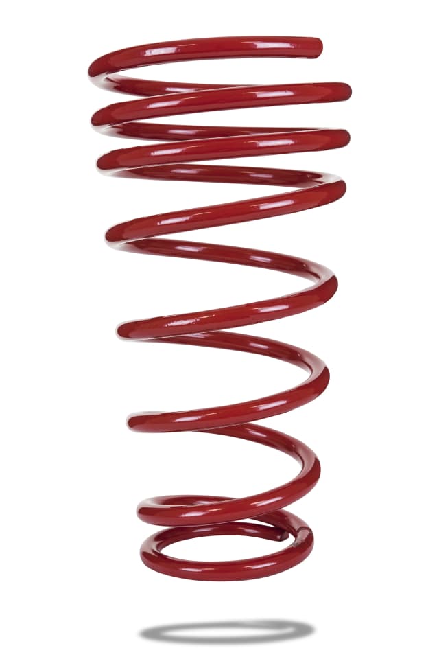 2959 Rear Spring Low