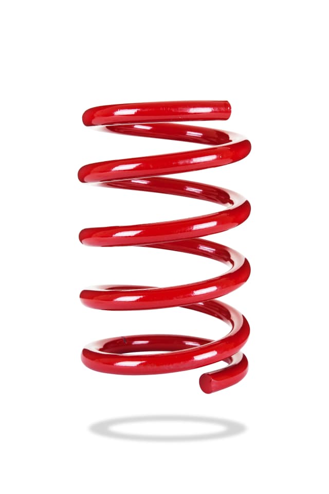 2969 Rear Spring Low
