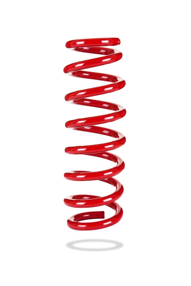 2971 Rear Spring Low