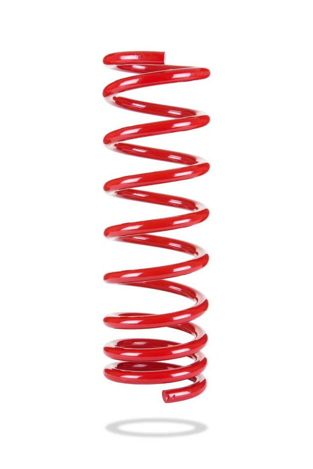 2973 Rear Spring Low