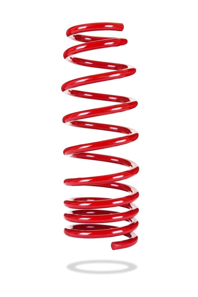 2975 Rear Spring Low