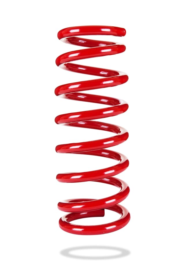 2979 Rear Spring Low