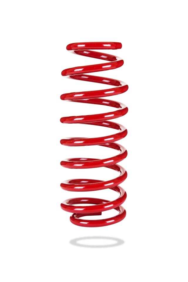 2983 Rear Spring Low