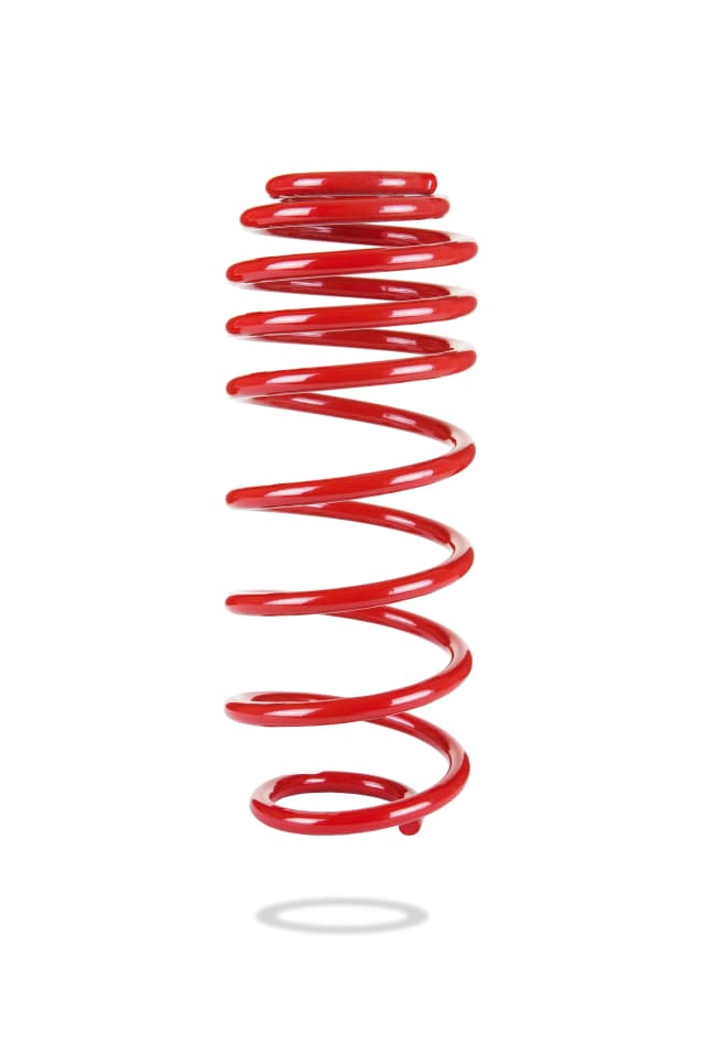 2985 Rear Spring Low