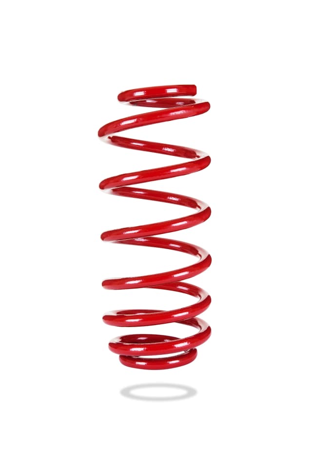 2989 Rear Spring Low