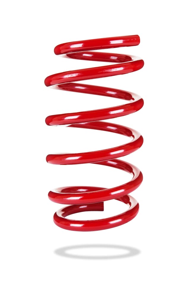 2999 Rear Spring Low