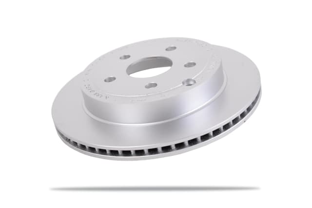 6313870 Rear Brake Rotors