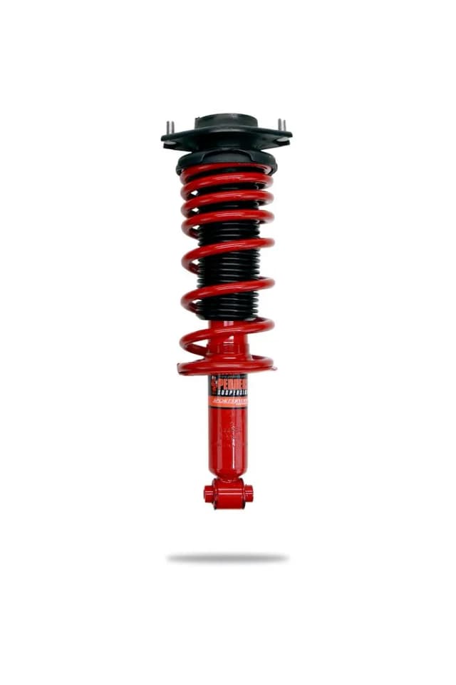902354 Complete Strut Assembly (Rear)